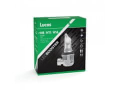 Lucas Lucas 12V/24V H8/H11/H16 LED žiarovka PGJ19-1/2/3, súprava 2 ks 6500K