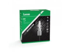 Lucas Lucas 12V/24V H1 LED žiarovka P14,5s, súprava 2 ks 6500K