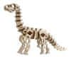 3D puzzle Diplodocus 50 dielikov