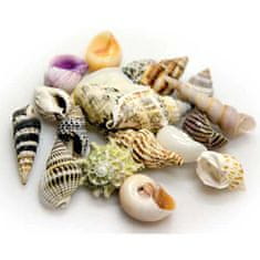 HOBBY aquaristic HOBBY Sea Shells Set S 20ks- dekorácia do akvária