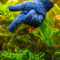 HOBBY aquaristic HOBBY rukavica na odstraňovanie rias z akvária