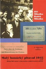 Malý hanácky pitaval 1945 alebo Hriešni ľudia mesta vyškovského a ich strážcovia zákona - Radek Mikulka