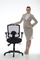 MAYAH Ergonomická kancelárska stolička, sieť.textílie, sieť.opierok, chrómovaná základňa,MaYAH,"Creative", čierna, 10892-02CA BLACK