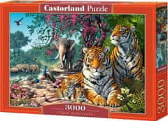 Castorland Puzzle Tigrie útočisko 3000 dielikov