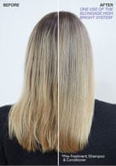 Redken Šampón pre blond vlasy Blondage High Bright (Shampoo) (Objem 300 ml)
