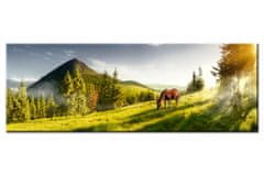Peknastena Obrazy na stenu - Kôň na pastvine - panoráma - 170x60cm