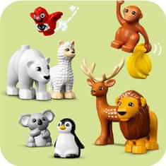 LEGO DUPLO 10975 Divoké zvieratá sveta