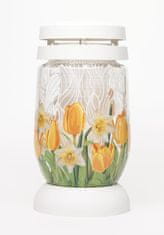 Bolsius Kahanec bolsius DS 03 Žltý tulipán, 22 cm, 36 hod, bal. 6ks (6 ks)
