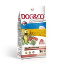 Adragna Krmivo Wellness Dospelé psy (stredne veľké/veľké granule) Jahňacie a ryža 3kg