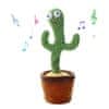 Interaktívny hovoriaci a spievajúci kaktus