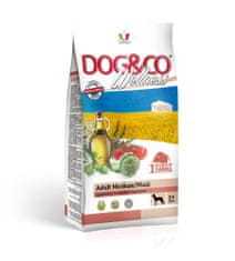 Adragna Krmivo Wellness Dospelé psy (stredne veľké/veľké granule) Jahňacie a ryža 12kg