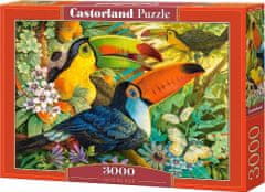 Castorland Puzzle Farebné tukany 3000 dielikov