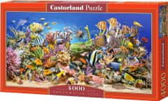 Castorland Puzzle Podmorský život 4000 dielikov