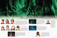 EFKO Harry Potter Cesta Zakázaným lesom – rodinná spoločenská hra