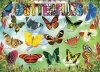 EuroGraphics Puzzle Záhradné motýle 100 dielikov