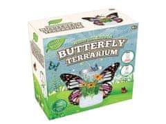 Mikro Trading Súprava na pestovanie a zdobenie motýlích záhrad, 3 druhy sadeníc v nádobe s nálepkami v krabici