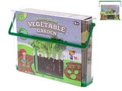 Mikro Trading Grow&decorate Vypestujte si záhradu, 3 druhy sadeníc s pôdou v priehľadnom boxe