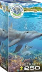 EuroGraphics Puzzle Delfíny XL 250 dielikov