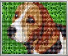 Pixelhobby Diamantové maľovanie - sada 4 základných dosiek - Beagle