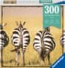 Zebra 300 dielikov