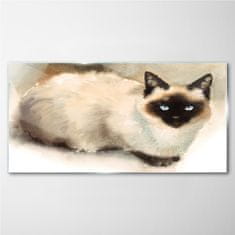 COLORAY.SK Skleneny obraz Abstraktné zvieracie mačka 120x60 cm