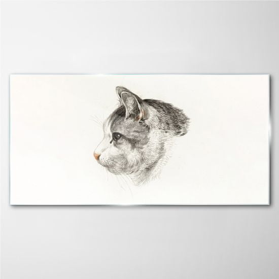 COLORAY.SK Obraz na skle Kreslenie zvierat mačka 140x70 cm