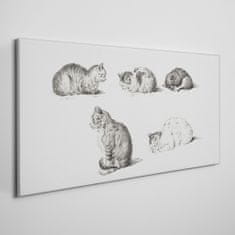 COLORAY.SK Obraz na plátně Obraz na plátně Kreslenie zvierat mačiek 140x70 cm