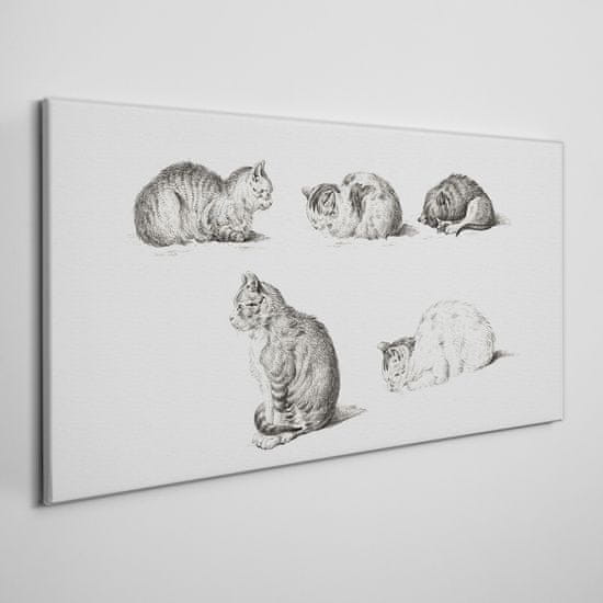 COLORAY.SK Obraz na plátně Kreslenie zvierat mačiek 140x70 cm