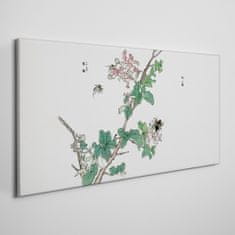 COLORAY.SK Obraz na plátne Ázijské hmyz listy 100x50 cm