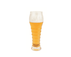 B. Bohemian Pohár na pivo Ipa & Specialties 0,5 l