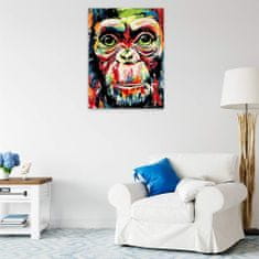 Malujsi Maľovanie podľa čísel - Farebná opica - 60x80 cm, bez dreveného rámu