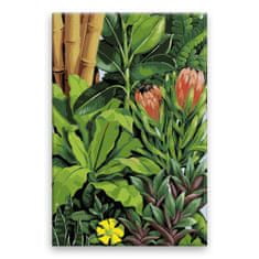 Malujsi Maľovanie podľa čísel - Exotické rastliny 02 - 80x120 cm, bez dreveného rámu