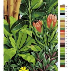 Malujsi Maľovanie podľa čísel - Exotické rastliny 02 - 80x120 cm, bez dreveného rámu