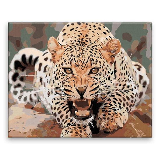 Malujsi Maľovanie podľa čísel - Nahnevaný leopard - 50x40 cm, plátno vypnuté na rám