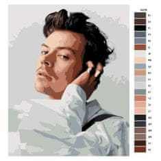 Malujsi Maľovanie podľa čísel - Harry Styles 02 - 40x50 cm, plátno vypnuté na rám