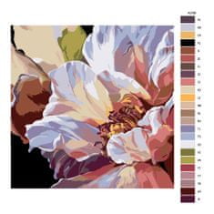 Malujsi Maľovanie podľa čísel - Kvet - 80x80 cm, plátno vypnuté na rám