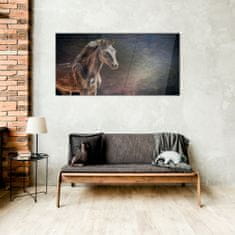 COLORAY.SK Skleneny obraz Abstraktné zvieracie kone 100x50 cm