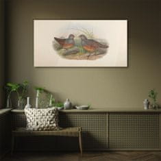 COLORAY.SK Skleneny obraz Skleneny obraz Vtáky zvieratá kreslenie 120x60 cm