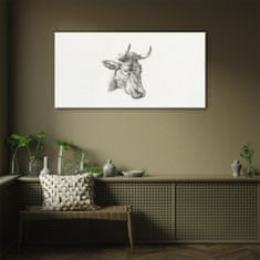 COLORAY.SK Obraz na skle Obraz na skle Kreslenie kravy zvierat 100x50 cm