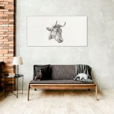 COLORAY.SK Obraz na skle Obraz na skle Kreslenie kravy zvierat 100x50 cm
