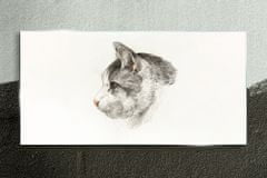 COLORAY.SK Obraz na skle Obraz na skle Kreslenie zvierat mačka 140x70 cm