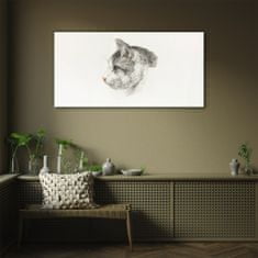 COLORAY.SK Obraz na skle Obraz na skle Kreslenie zvierat mačka 140x70 cm