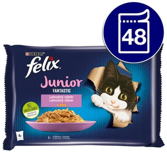 Felix Fantastic Junior s kuraťom a lososom v želé 48 x 85 g
