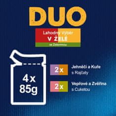 Felix FANTASTIC Duo multipack lahodný výber v želé 48x85 g