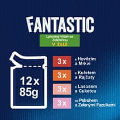Felix FANTASTIC multipack lahodný výber v želé 72x85 g