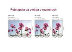 Dimex fototapeta MS-5-0145 Lúčne kvety 375 x 250 cm