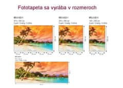 Dimex fototapeta MS-3-0211 Polynézia 225 x 250 cm