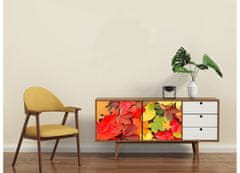 Dimex Nálepky na nábytok - Farebné listy, 85 x 125 cm