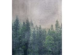 Dimex fototapeta ART MS-3-0353 Zahmlený les 225 x 250 cm