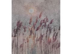 Dimex fototapeta ART MS-3-0358 Červená tráva 225 x 250 cm